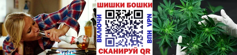Марихуана сатива  Сергач 